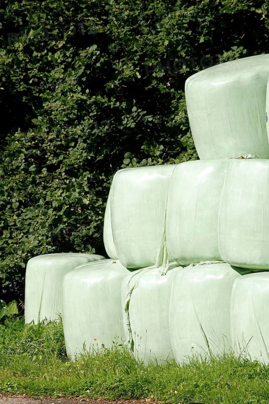 Grass silage packed with green plastic sheeting