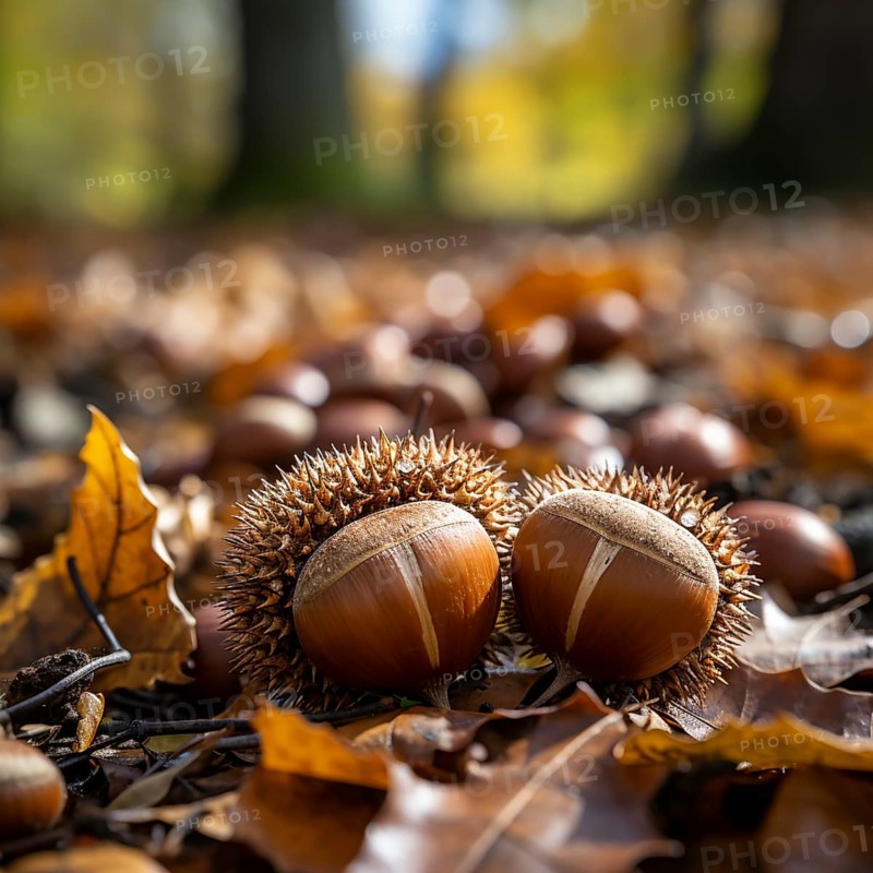 Chestnuts