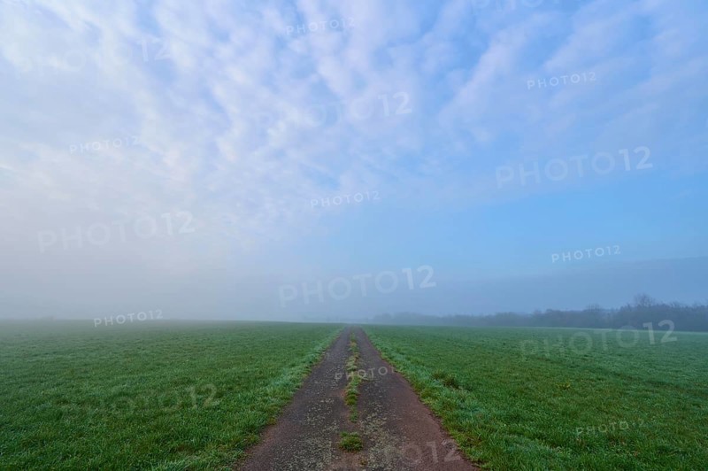 Field path
