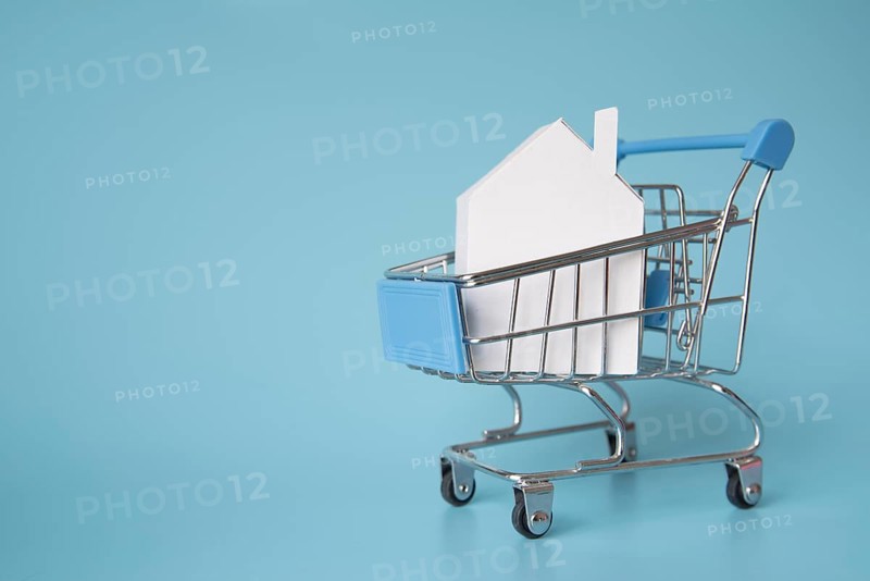 House miniature shopping cart