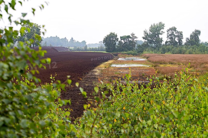 Peat cutting