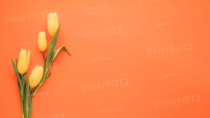 Yellow tulip flowers orange table