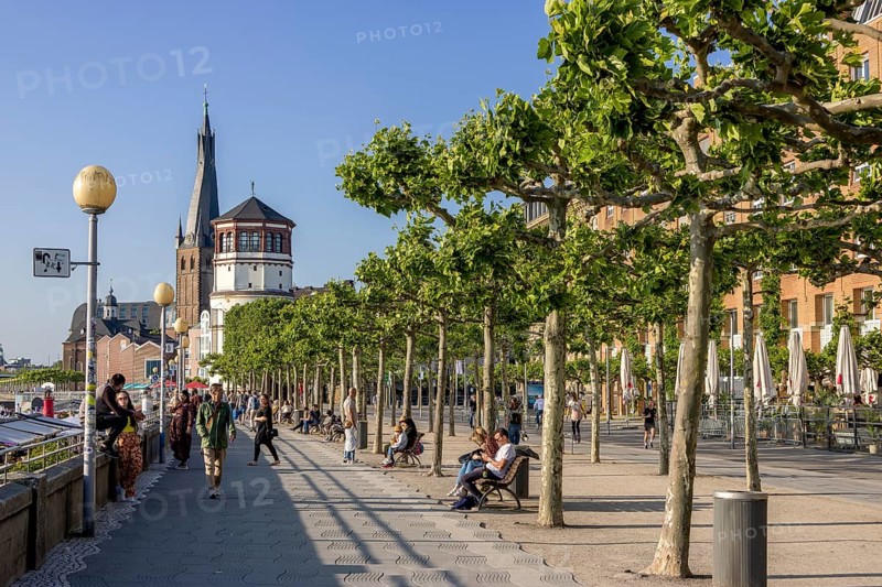 Rhine promenade