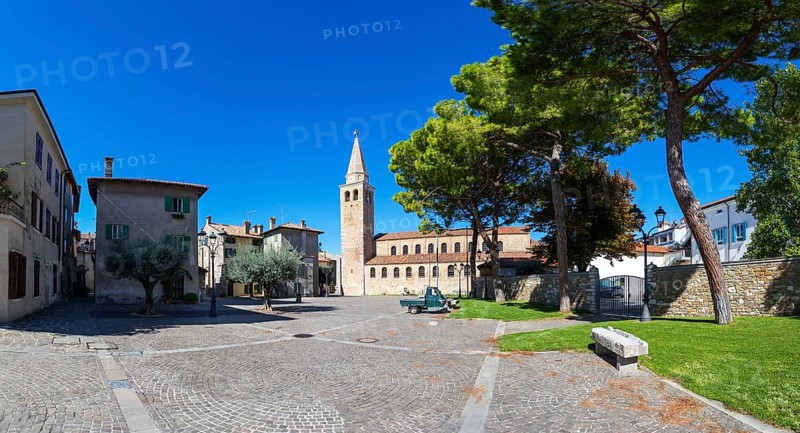 Olive trees at Campo Patriarca Elia with Basilica Sant Eufemia