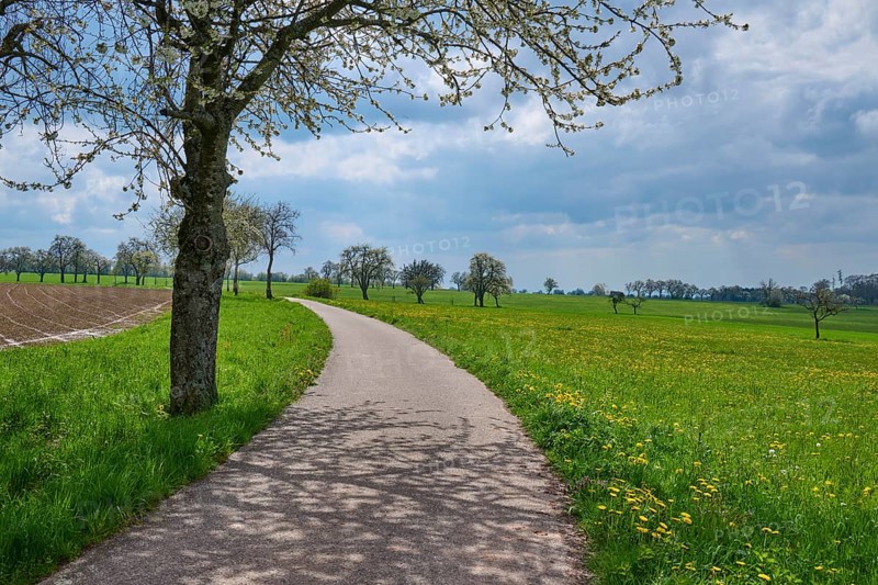 Field path