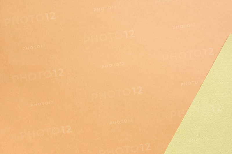 Neutral set cardboard sheets with copy space