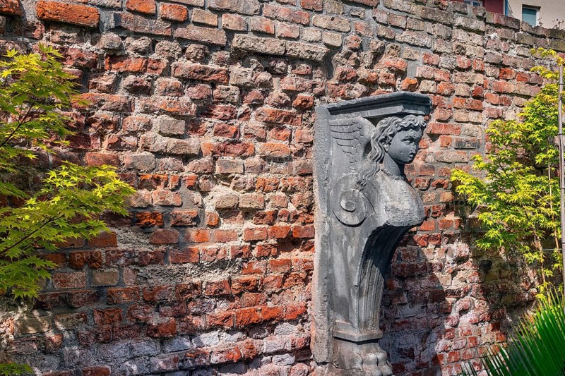 Old brick wall with caryatid and maple
