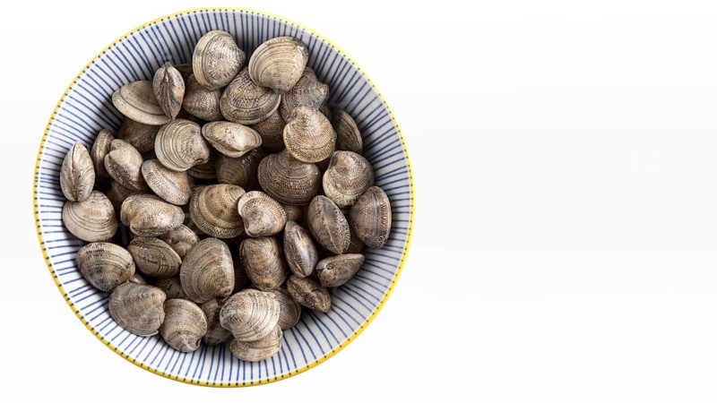 Top view plate with clams copy space