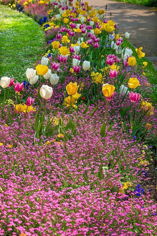 Flowerbeds in bloom in the municipal park of Lahr