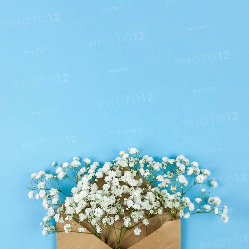 High angle view white baby s breath flowers with brown envelop against blue background