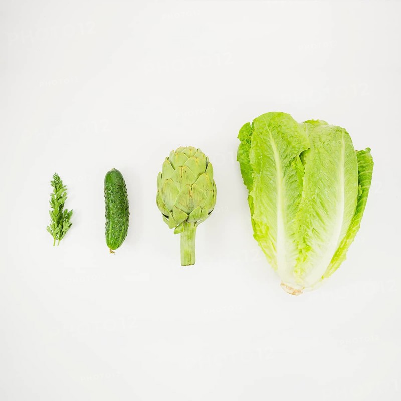 Lettuce artichoke cucumber parsley