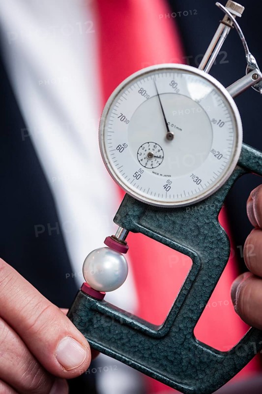 An appraiser with a measuring device device to determine the diameter of a white pearl