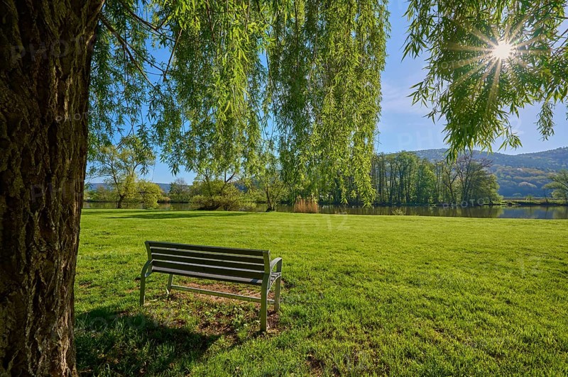 Bench