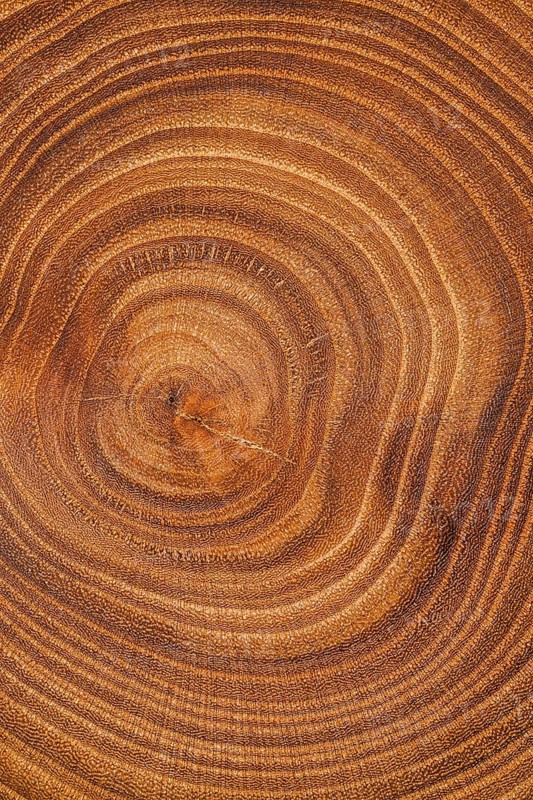 Top view wood background