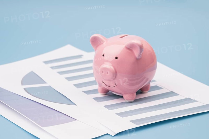 Piggy bank company documents