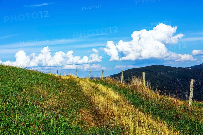 Lonely field path with pasture post