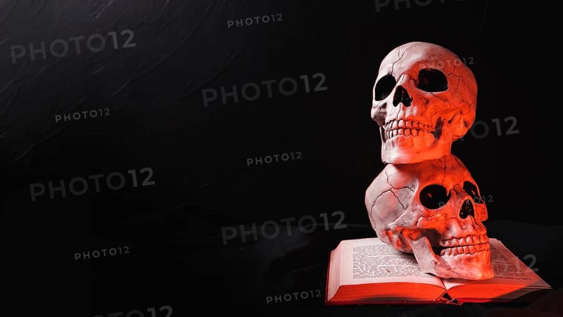 Two skulls book red light