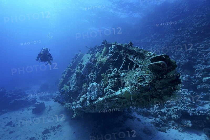 Wreck of sailboat overgrown with corals