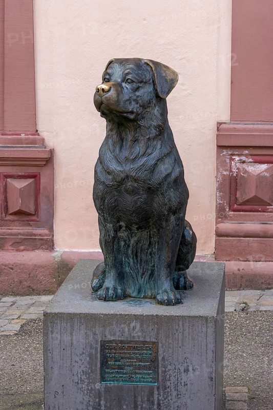 Rottweiler statue in front of the town museum