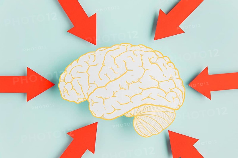 Paper brain with arrows