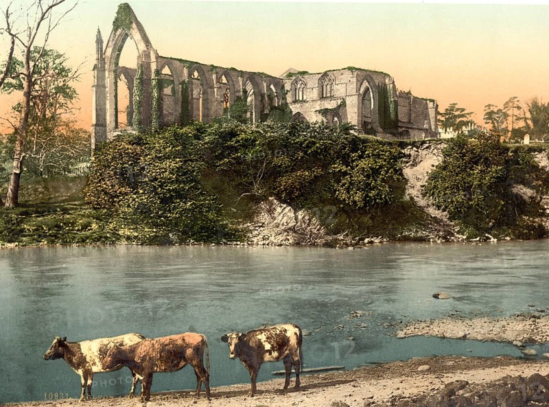 Bolton Abbey
