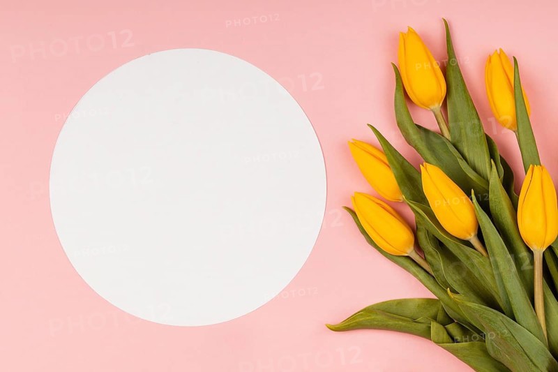 Composition yellow tulips with empty card
