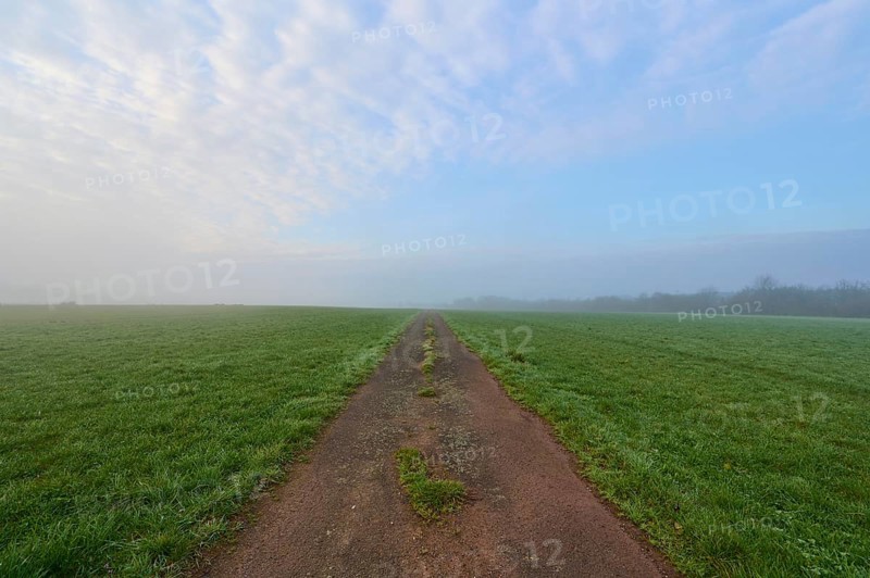 Field path