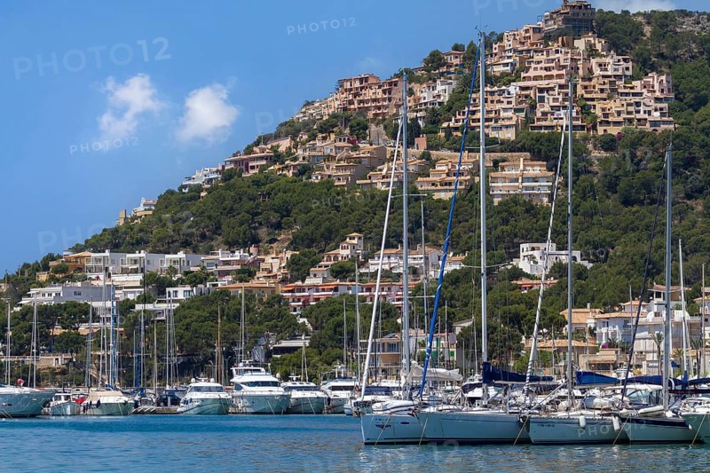 Yachts in the marina