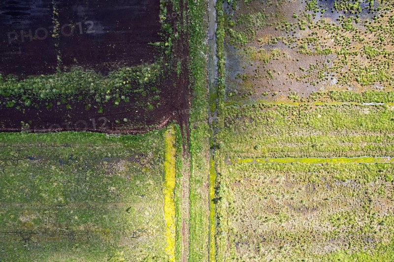 Aerial photograph of the moor