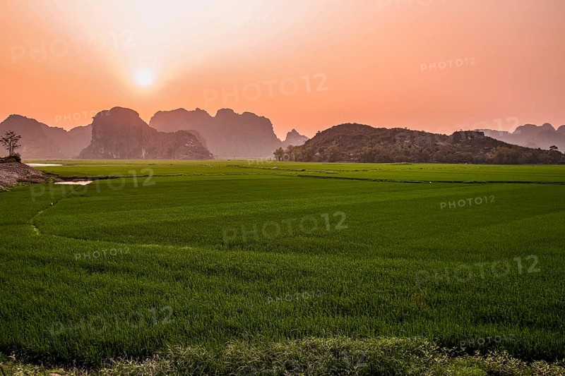 Beautiful sunrise over the rice paddy in Ninh Binh