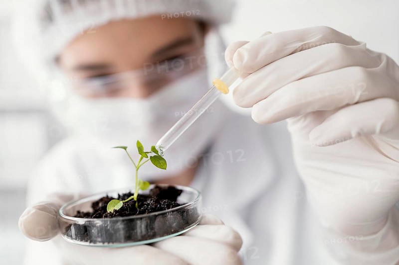 Close up scientist watering plant