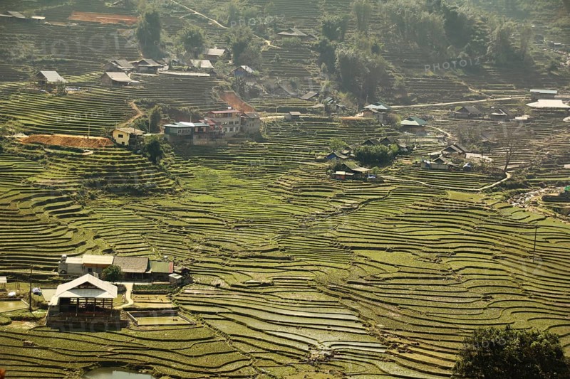 Aerial view terraced rice paddy and mountains in the village of Lao Cai in Sa pa Vietnam