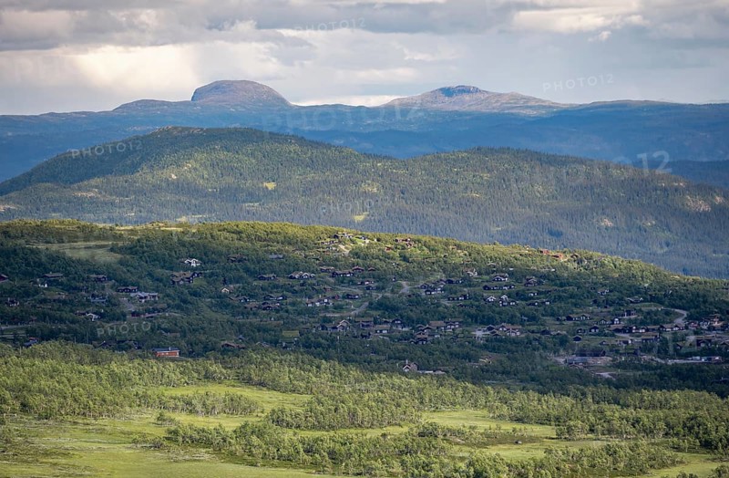 Norwegian houses between birch forest
