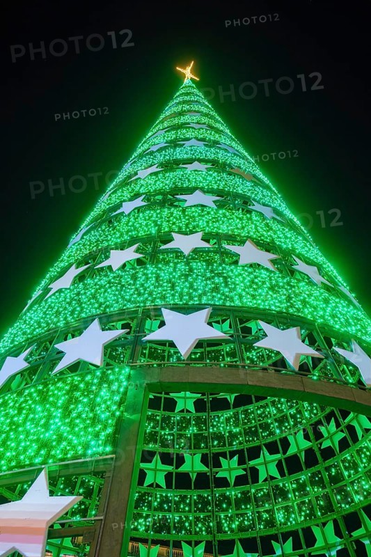 Main Christmas tree of Lisbon