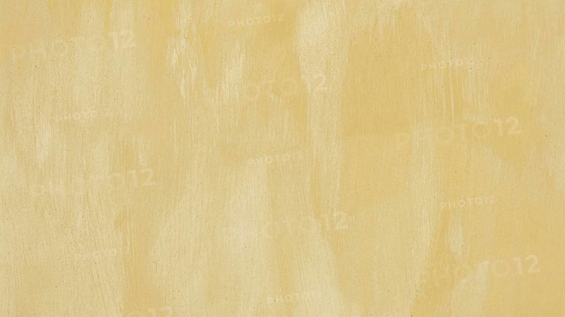 Empty monochromatic beige painted background