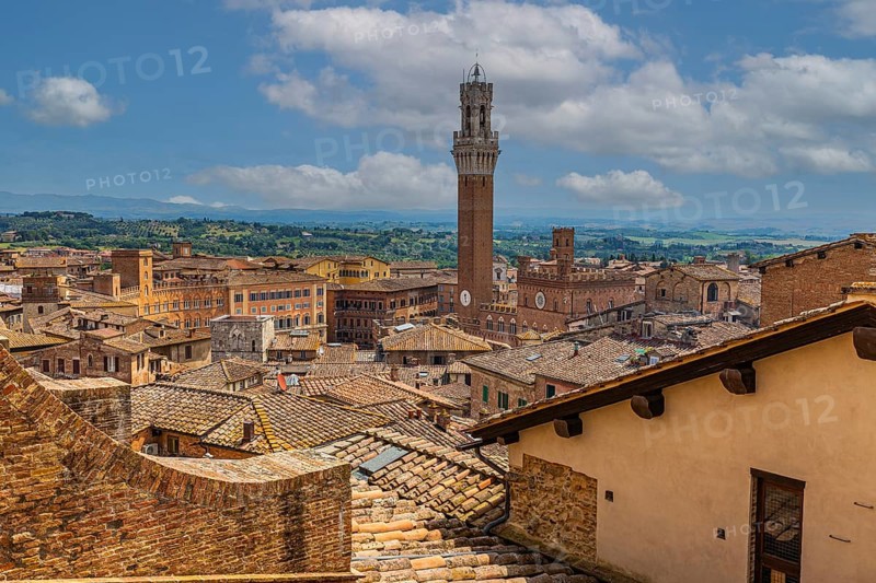 Above the rooftops of Siena with a view of the Torre del Mangia bell tower
