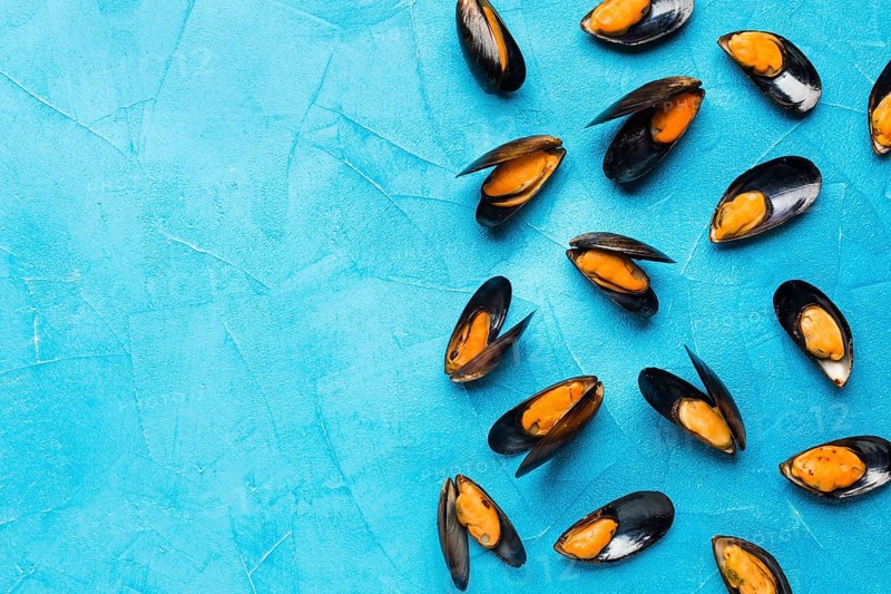 Flat lay boiled mussels with copy