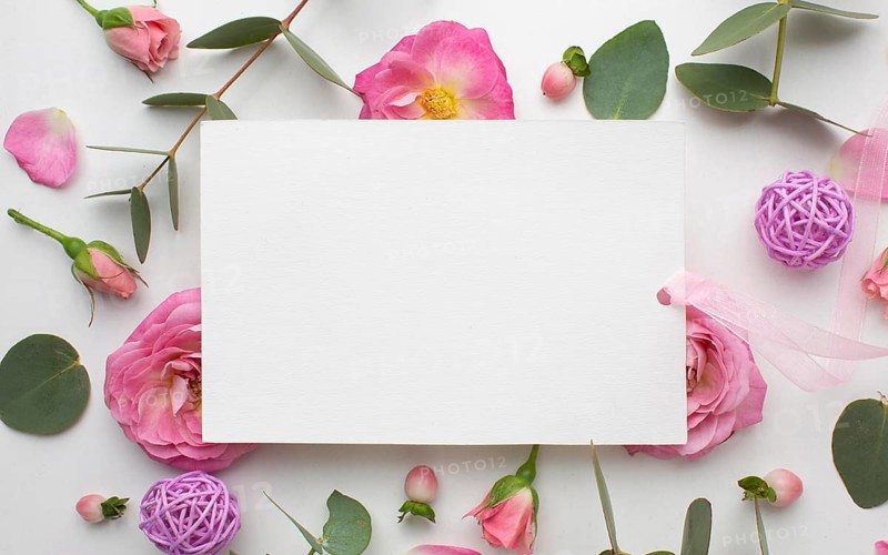 Top view roses flowers paper sheet