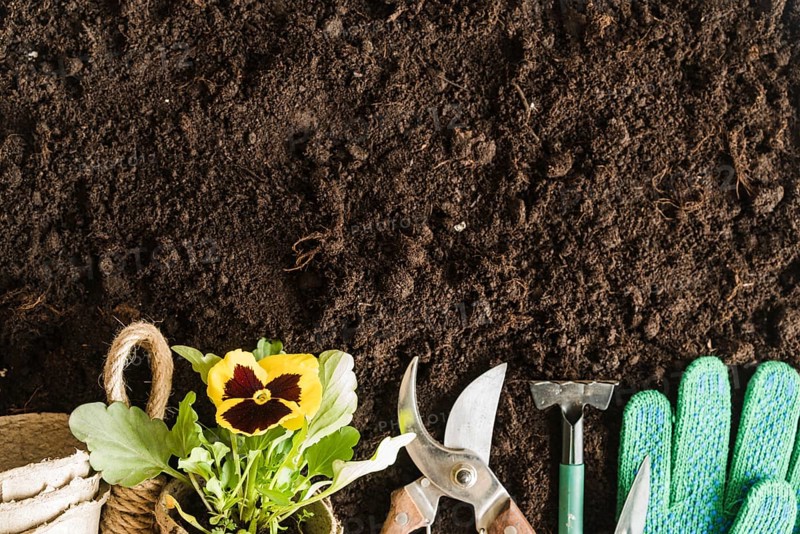 Peat pots pansy plant gardening tools gloves soil