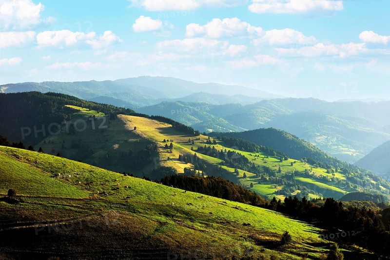 View of Muenstertal