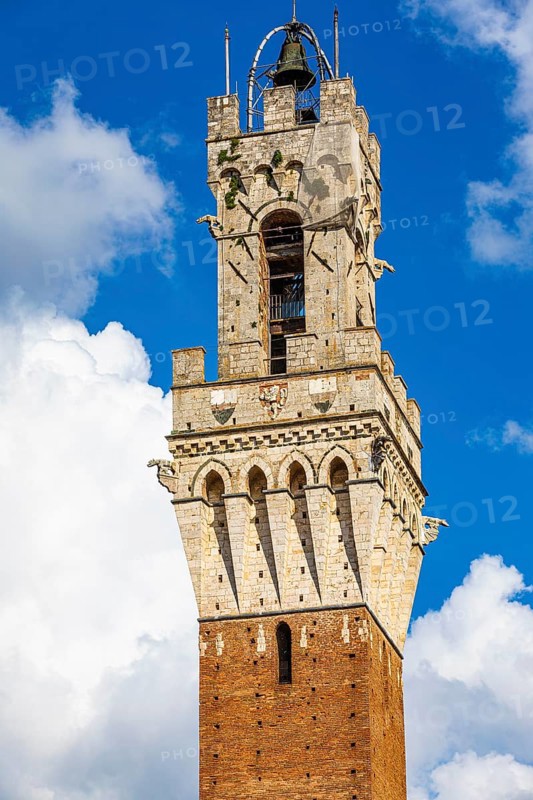 The bell tower Torre del Mangia
