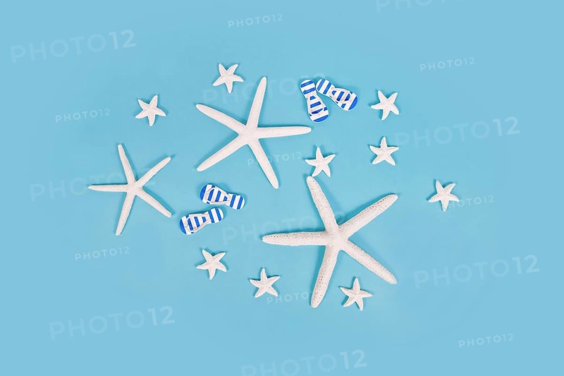 White starfish and sandals on blue background