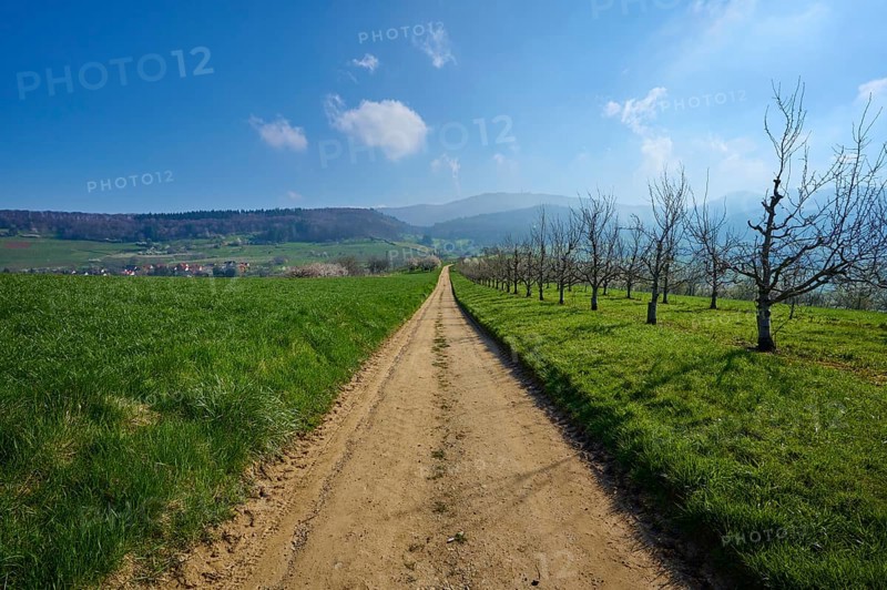 Field path