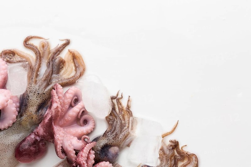Top view fresh octopus ready cooking