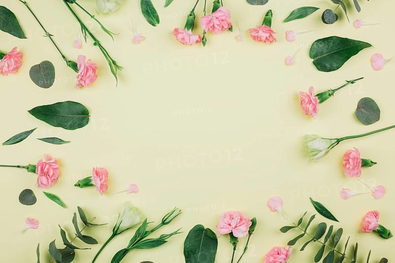 Green eucalyptus