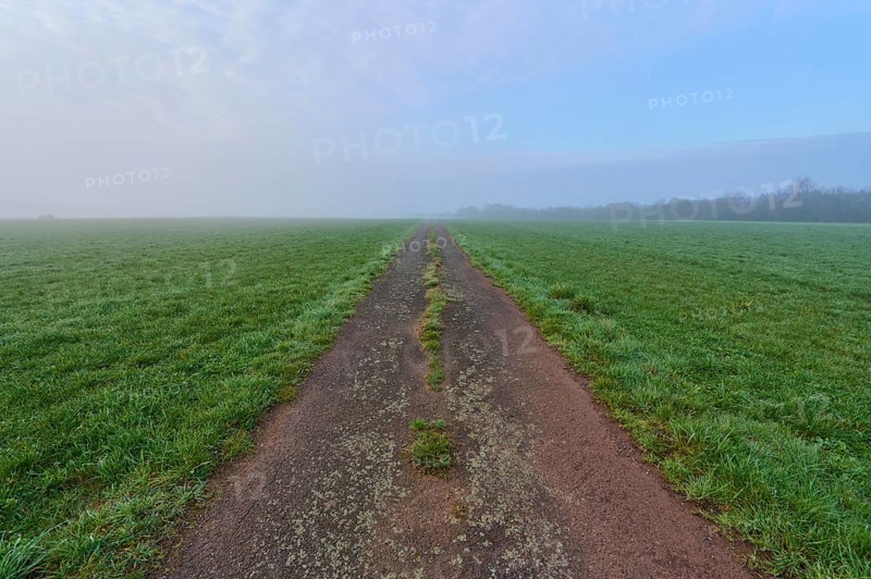 Field path