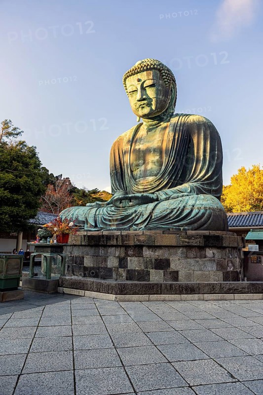 The Bronze Great Buddha