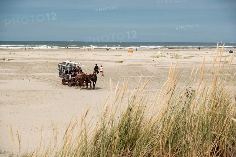 Horse-drawn carriage on the beach of Horn on the North Sea island of Terschelling