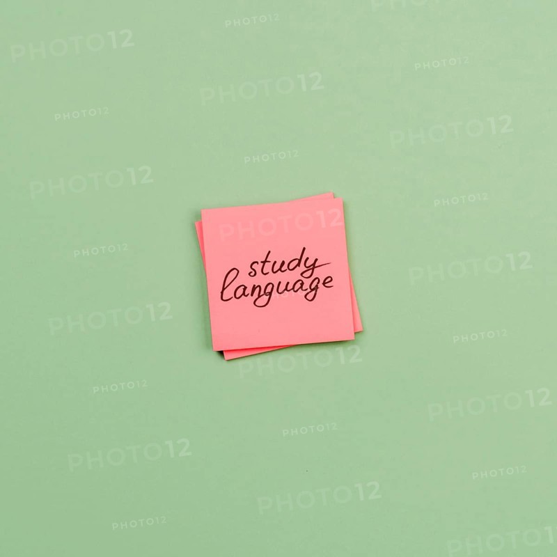 Flat lay decoration with sticky notes green background