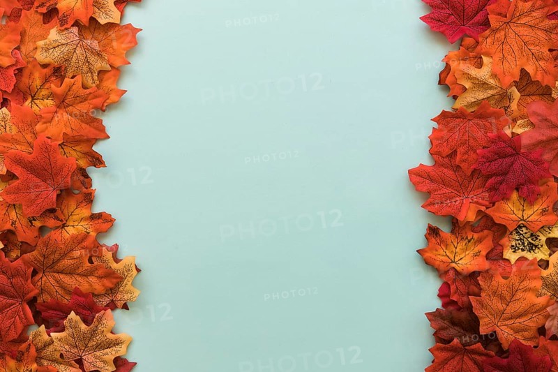 Double sided flat lay autumn leaves